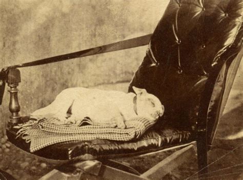 The Truth Behind Victorian Post Mortem Photography Hubpages