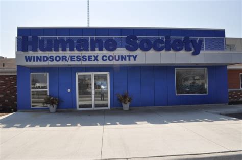 Windsor Humane Society Spay/Neuter Clinic Celebrates One Year ...