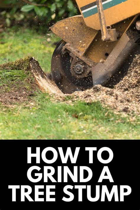 How To Grind A Tree Stump Comprehensive Guide 2022 Own The Yard
