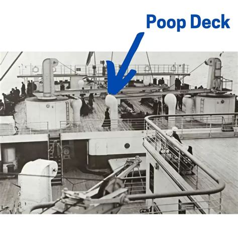 What Is A Poop Deck And Does It Smell Cruise Birds