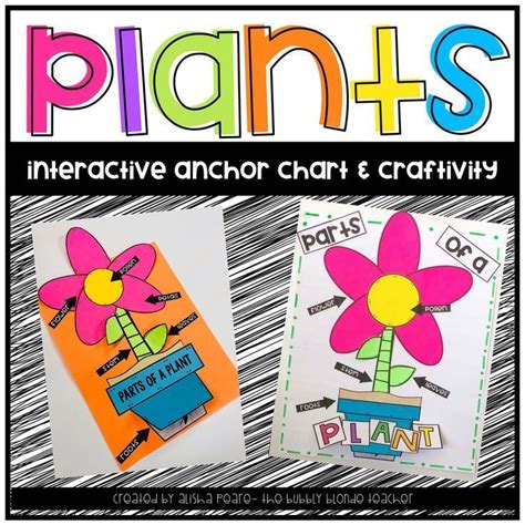 Dyi Plants Anchor Chart Craft And Printables Teaching Plant Parts In