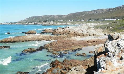 Hermanus South Africa 2023 Best Places To Visit Tripadvisor