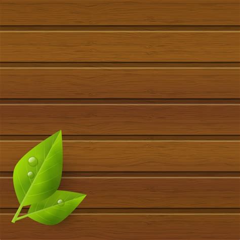 Wooden Grey Wall Green Leave Stock Vector Image By ©nataly Nete 77464798