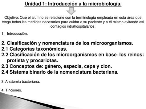 Nomenclatura De Bacterias