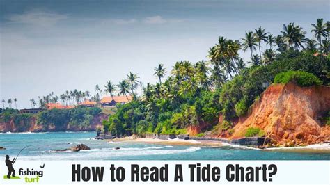 Tide Chart Mastery Essential Skills For Anglers
