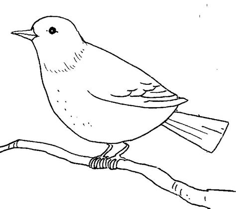 Birds Clipart Outline 20 Free Cliparts Download Images On Clipground 2023