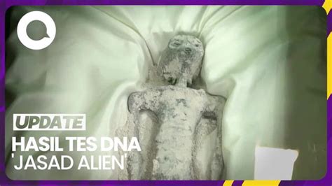 Jasad Alien Di Meksiko Dites Dna Belum Ada Kesamaan Dengan Spesies Bumi