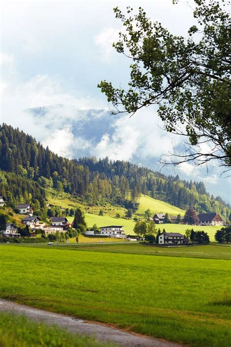 Mountain With Green Forest And Grass Fields In Austria Stock Photo
