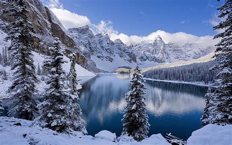Hd Wallpaper Green Leafed Trees Nature Winter Snow Moraine Lake