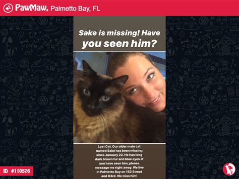 Cat is approx 5 month old female. HELP! Sake is Lost in 2020 | Lost cat, Cat names, Losing a pet