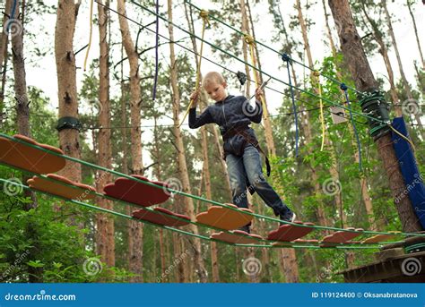 上升在冒险公园的男孩 库存照片 图片 包括有 森林 休闲 绿色 少许 挑战 本质 安全性 119124400