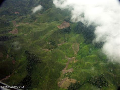 Aerial View Of Rainforest Deforestation In Madagascar Airplane Flight