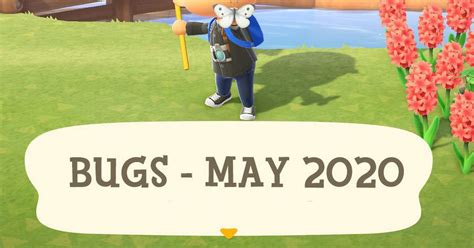 Animal Crossing New Horizons May Bugs List All New Bugs And Bugs