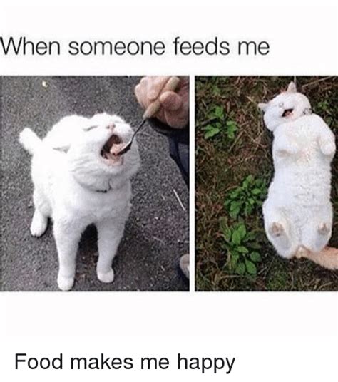 Toxic relationships, letting go of things i didn't want to and just situations where happiness came with a sacrifice. When Someone Feeds Me Food Makes Me Happy | Cats Meme on ME.ME