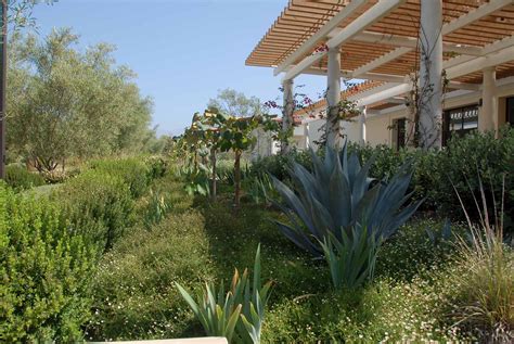 Mediterranean Garden Waterwise Garden Planner