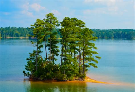 Maybe you would like to learn more about one of these? Wind Creek State Park, an Alabama State Park located near ...
