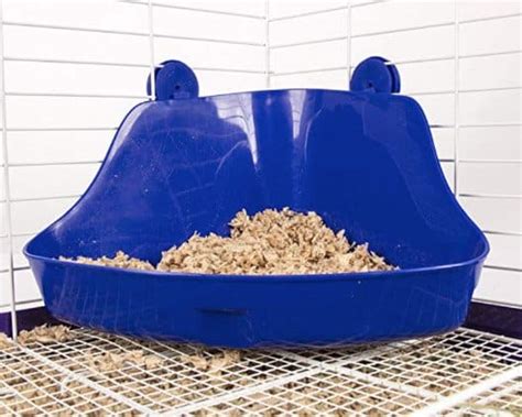 Best Litter For Rats Top Litter Boxes
