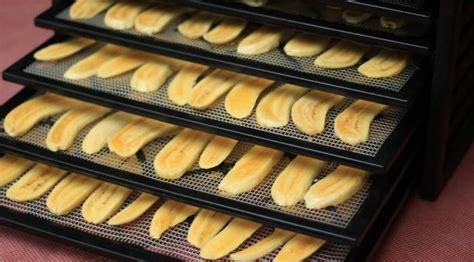 Quali vitamine ed oligoelementi preferire per rinforzare il nostro cuoio capelluto? Come costruire un essiccatore per alimenti • eComesifa.it