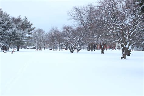 Winter Snow Scenes Photography - EASY BASIC PHOTOGRAPHY