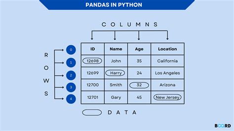 What Is Pandas In Python Board Infinity