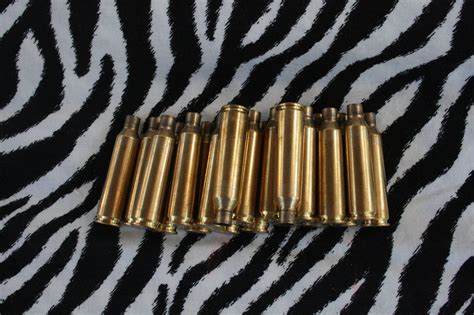 Brass Bullet Casings 22 250 Remington Bullet Shells Fired Rifle