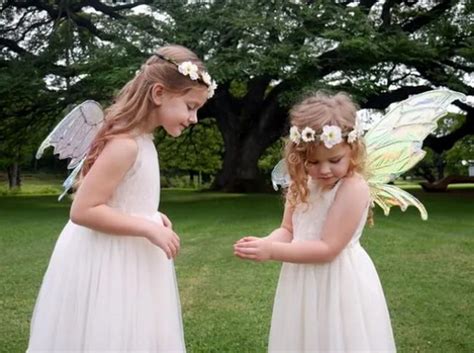 19 Diy Fairy Wings Ideas And Patterns Diys