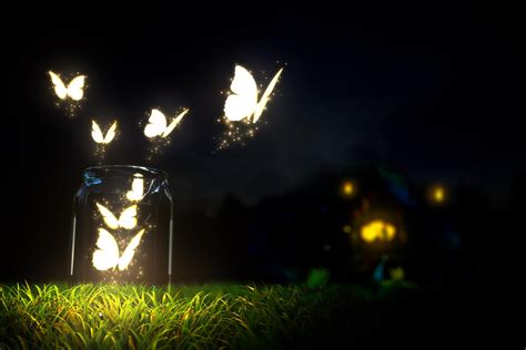 Glowing Butterfly Wallpapers Hd Desktop And Mobile Backgrounds