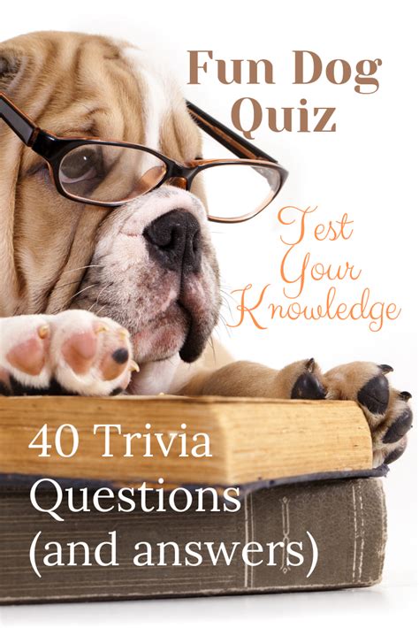 Dog Quiz Trivia Questions And Answers Dog Quiz Waggy Tales Dog Quiz