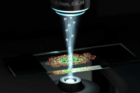 Quantum Microscope Can Examine Cells In Unprecedented Detail New