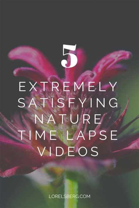 5 Extremely Satisfying Nature Time Lapse Videos Lorelsberg