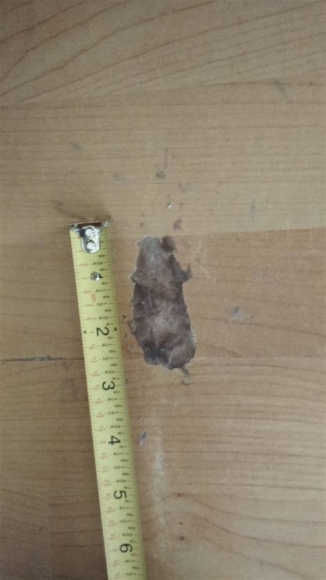 Here is one of the ways that i'll fix vinyl rips/tears to keep from having to replace the whole things until it gets really bad. How to fix a hole in laminate floor? - Home Improvement ...