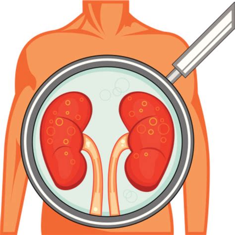 Pengidap gagal ginjal rentan mengalami kelebihan fosfor dalam tubuhnya. 17 makanan sehat dan tips/cara menjaga ginjal - Banyak ...
