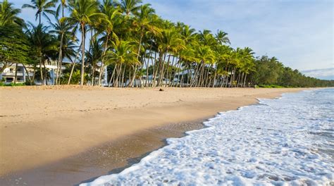 Visita Palm Cove Beach En Cairns Expedia Mx