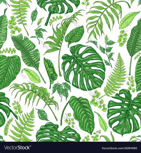 Hand Drawn Tropical Plants Pattern Royalty Free Vector Image