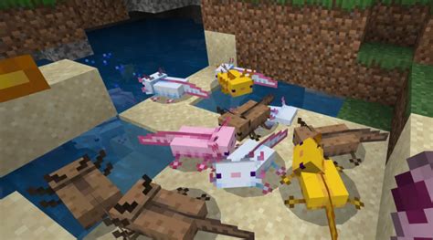 How To Find Tame And Breed Minecraft Axolotls 2023