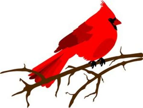 Download High Quality Cardinal Clipart Simple Transparent Png Images
