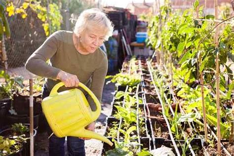 Therapeutic Gardening Activities For Aging Adults With Dementia