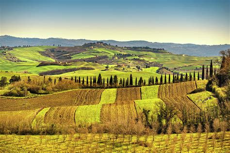 Tuscany Panorama Rolling Hills Trees And Green Fields Italy