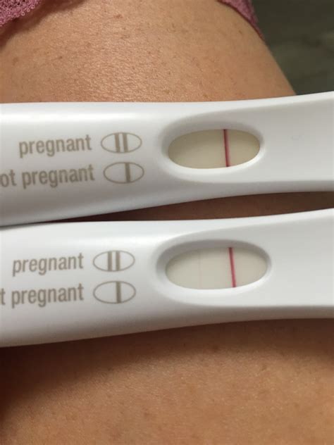 Chance Of False Positive Pregnancy Test First Response Pregnancywalls