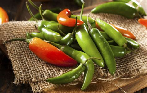 To make a little leeway beat that nic but not the.tonight!we are ready! 11 Hot Peppers and How to Eat Them | Cozymeal