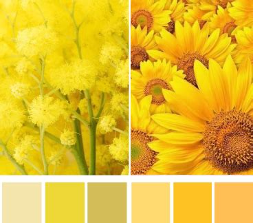 Теплые и холодные оттенки желтого | Цветы, Желтые цветы, Модные цвета