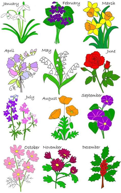 The birth month flower or 탄생화 (read: birth flowers | Birth stones, flowers | Pinterest | Birth ...