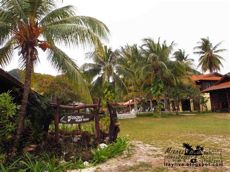 Great experience sur d'coconut resort. LeoTay: _- T -_ Pulau Besar, Mersing, Johor