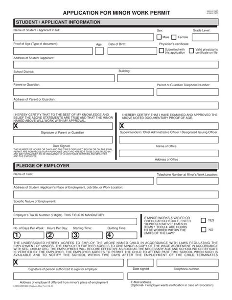 Application For Work Permit Fill Out Printable PDF Forms Online