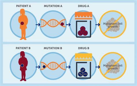 An Introduction To Precision Cancer Medicine We Speak Science