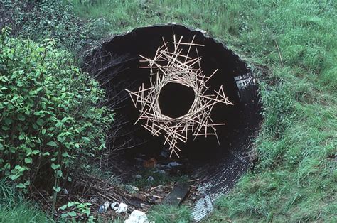 Andy Goldsworthy Hanging Hole Nedal