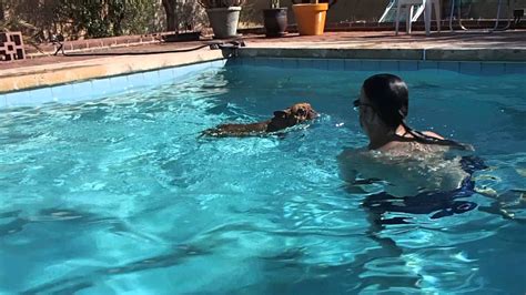 French bulldogs don't need water to swim. French Bulldog LOVES the swimming pool - YouTube
