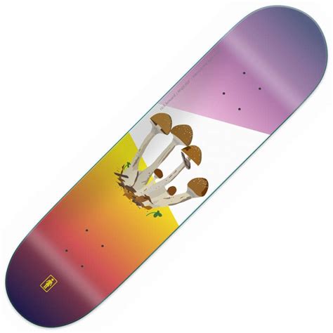 My first commission gig as an illustrator! Girl Skateboards Howard Psychedelic Plants Skateboard Deck ...