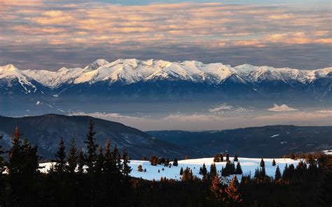 Longue Vie Au Parc National De Pirin Wwf France