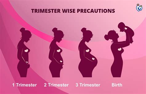 What Should Be The Precautions For The 1st Trimester